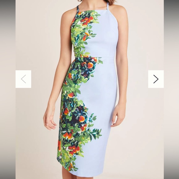 Anthropologie Maeve Midi Dress 4p Orange Bough Sheath Stretch Blue High Neck - Picture 6 of 14